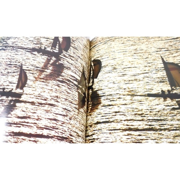 Large Hardback Book on Seattle; Illustrations with Jacket - Picture 8 of 12